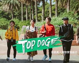 性视界传媒《TOP DOG》免费在线观看