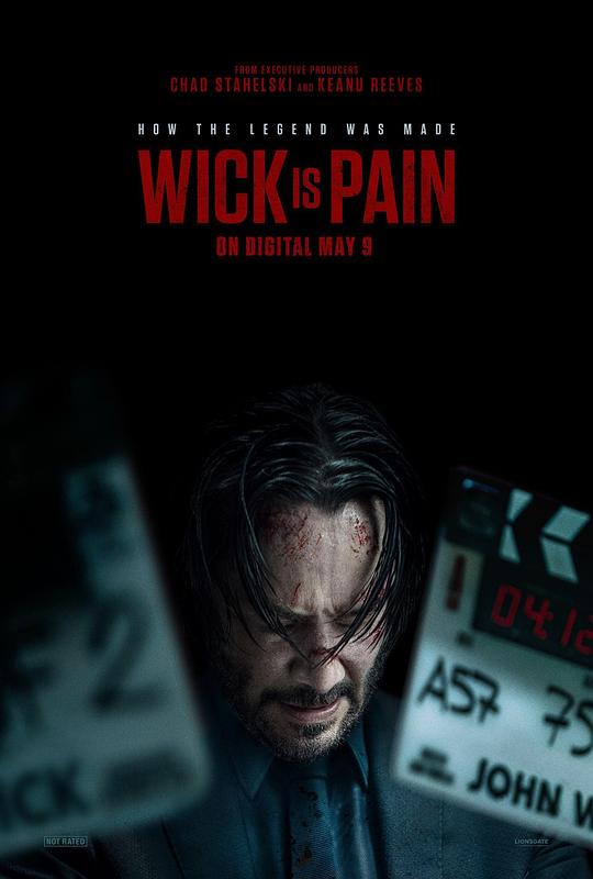 性视界传媒《疾速剧痛 Wick Is Pain》免费在线观看