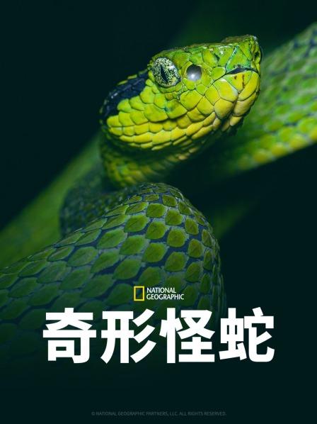 懂色帝《奇形怪蛇》免费在线观看